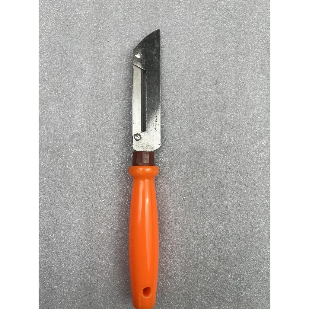 มีดปอกสแตนเลส ที่ขูด ที่ขูดมะพร้าว