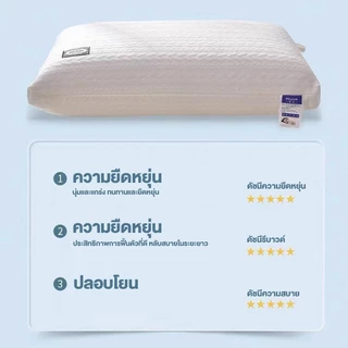 HT หมอน หมอนรองคอ หมอนหนุน หมอนสุขภาพ กันไรฝุ่น จัดระเบียบกระดูกสันหลัง ขนาด โพลีเอสเตอร์ หมอนครัวเรือน ลดกรน COD