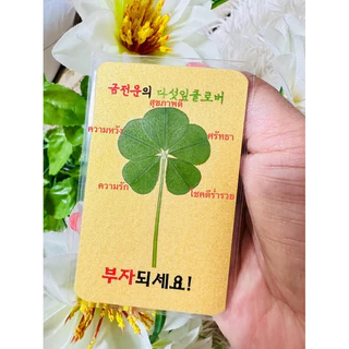 ใบโคลเวอร์ 5 แฉก แถมซองทองพรีเมี่ยม ใบแท้นำเข้าจากเกาหลี✅🇰🇷