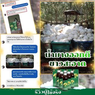 [ถูกที่สุด] โดสเขียว DOSEเพิ่มน้ำยาง 3-5 เท่าเห็นผลไว น้ำยางไหลดี แก้หน้ายางตายนึ่ง แก้เชื้อรา