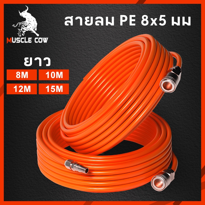 MUSCLE COW สายลม PE สายลมสำเร็จรูป อย่างดี ขนาด 8x5 มม ความยาว 8/10/12/15 เมตร สายลมแรงดันสูง พร้อมหัวต่อคอปเปอร์ 2 ด้าน