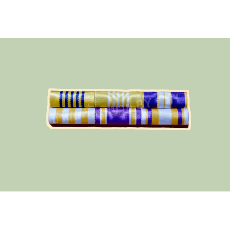 แพรแถบข้าราชการทั่วไป แบบใหม่ล่าสุด - รูปที่ 7