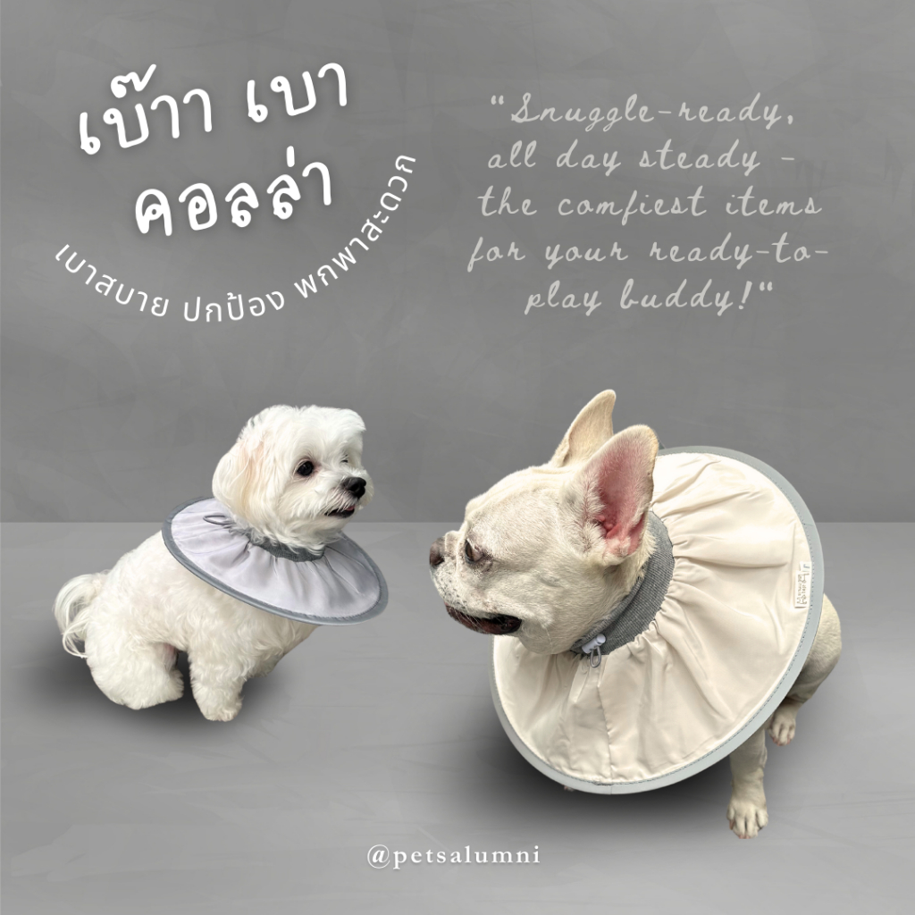 Bao Bao เบ้าา เบา คอลล่า คอลล่ากันเลีย น้ำหนักเบา พับเก็บได้ กันน้ำ