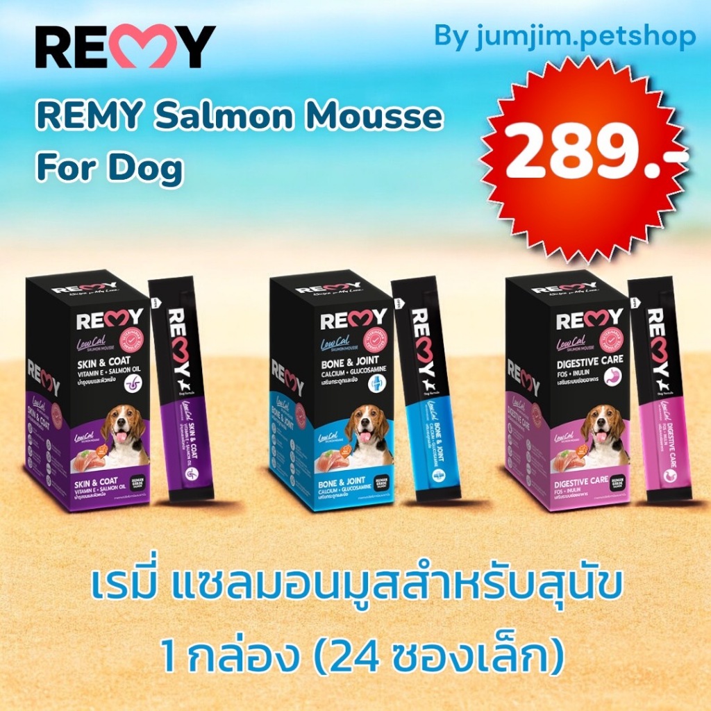 REMY Salmon Mousse For Dog 1กล่อง (15กรัมx24ซอง) เรมี่ แซลมอนมูส สำหรับสุนัข ขนมสุนัขเลีย