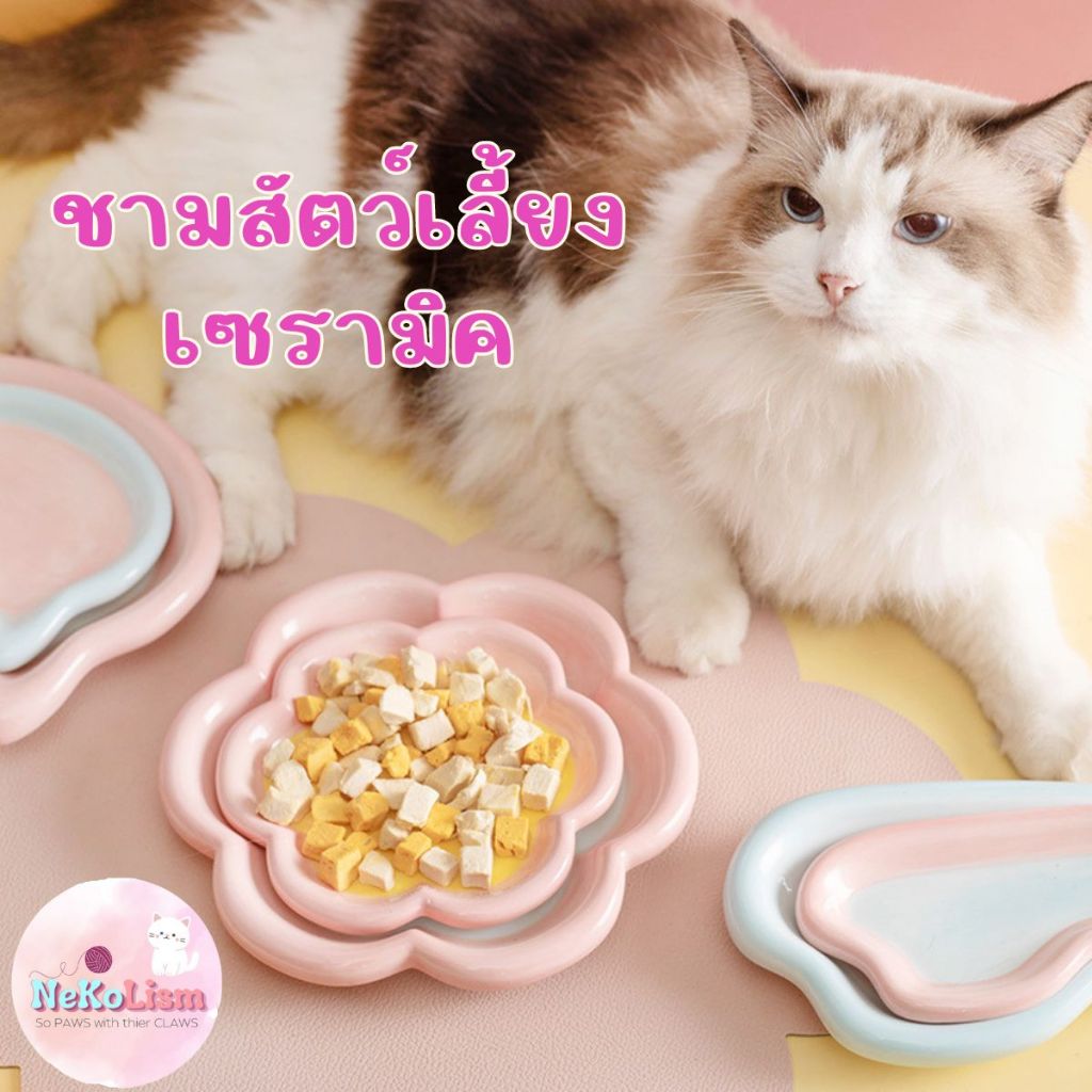 ชามเซรามิคแบน ชามอาหารแมว หมา สุนัข Bowl จานข้าวแมว
