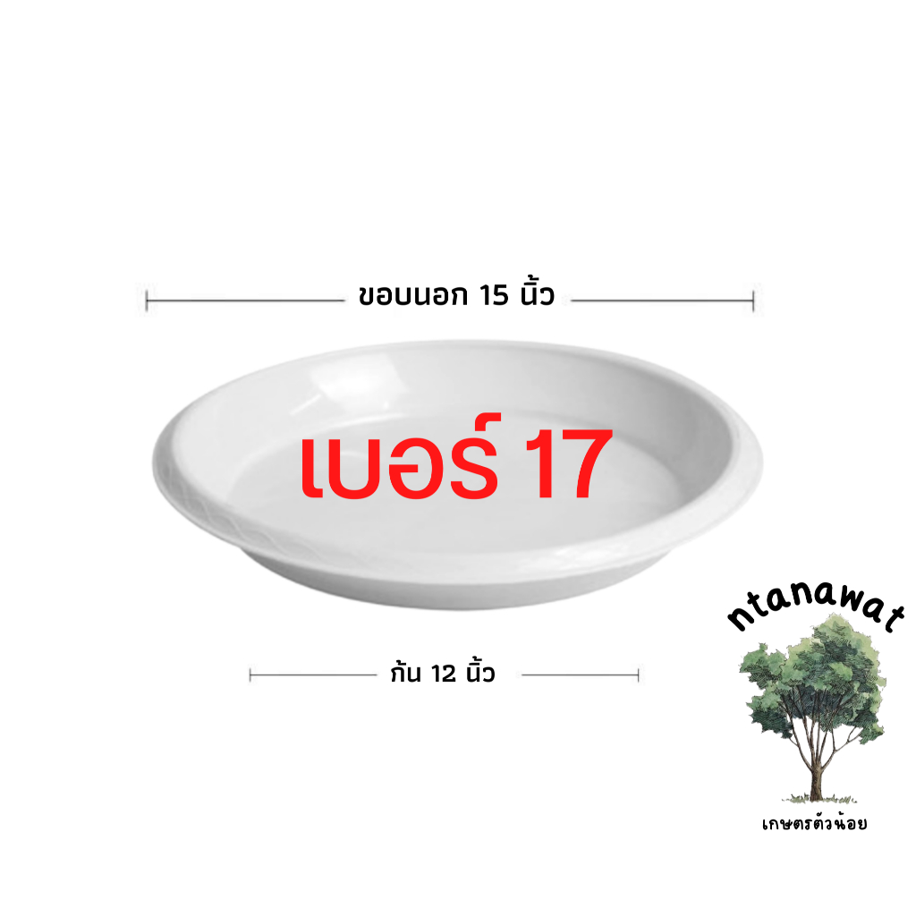 จานรองกระถาง ถาดรองกระถางต้นไม้ ถาดรองกระถางต้นไม้ สีขาว 8 นิ้ว 10 นิ้ว 12 นิ้ว 15 นิ้ว 17 นิ้ว ราคา ถูกที่สุด ดีลบีเคเค แกลเลอรีภาพที่ 6