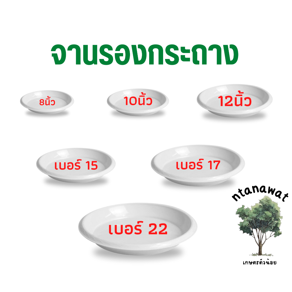 จานรองกระถาง ถาดรองกระถางต้นไม้ ถาดรองกระถางต้นไม้ สีขาว 8 นิ้ว 10 นิ้ว 12 นิ้ว 15 นิ้ว 17 นิ้ว