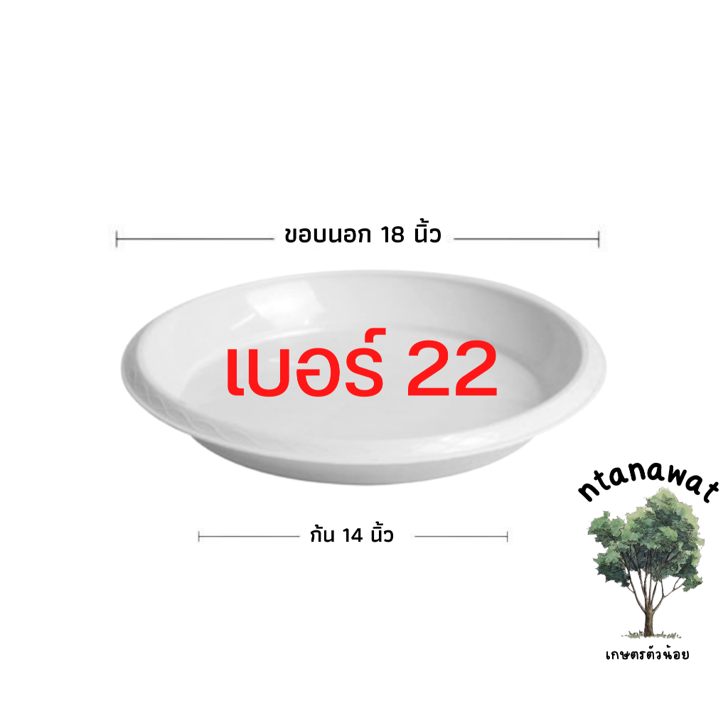 จานรองกระถาง ถาดรองกระถางต้นไม้ ถาดรองกระถางต้นไม้ สีขาว 8 นิ้ว 10 นิ้ว 12 นิ้ว 15 นิ้ว 17 นิ้ว ราคา ถูกที่สุด ดีลบีเคเค แกลเลอรีภาพที่ 7