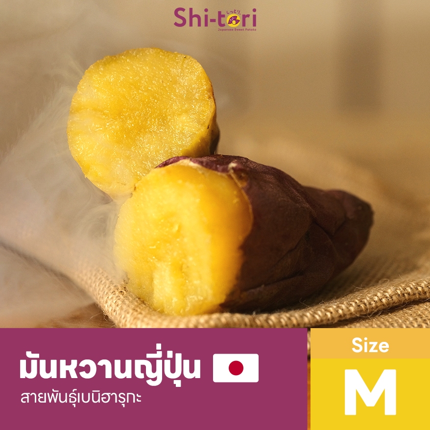 ShiTori | มันหวานญี่ปุ่น เบนิฮารุกะ Size M แพ็ค 500G. / 1Kg / 2Kg / 3Kg