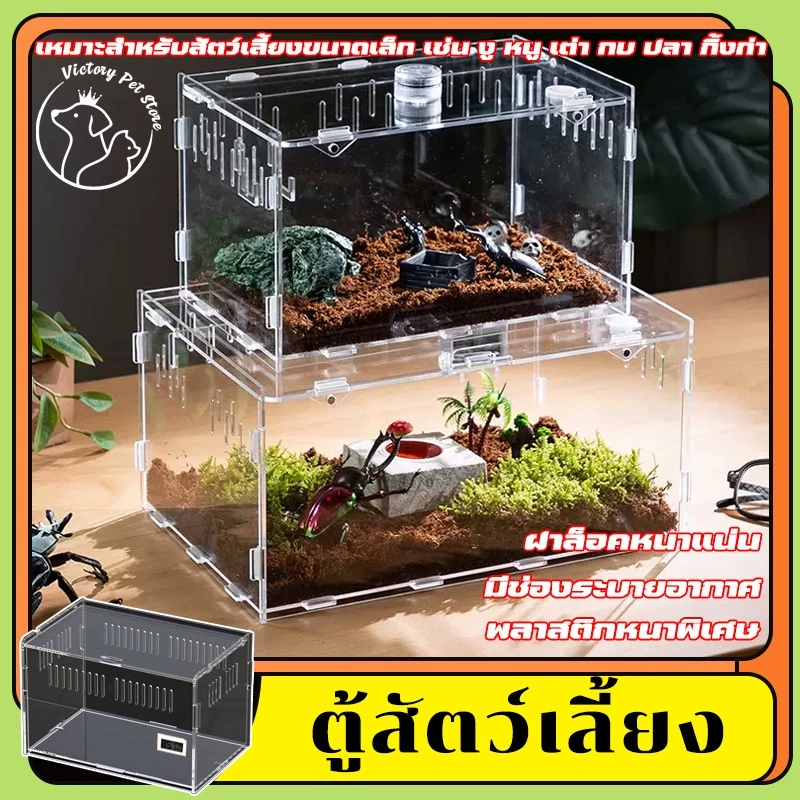 กล่องเลี้ยงสัตว์เลื้อยคลาน ตู้สัตว์เลี้ยง ฝาล็อคแน่น รูระบายอากาศรอบกล่อง สัตว์เลื้อยคลาน