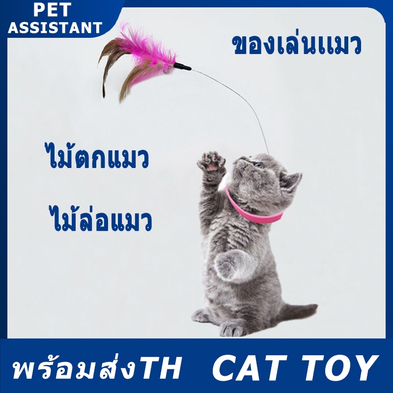 ของเล่นเเมว ไม้ตกแมว ไม้ล่อแมว  ไม้ตกแมว ไม้ตกแมวแบบสปริง Cat toy ขนนก แบบปุ่มดูดสุญญากาศ ไม้ตกแมว ไม้แหย่แมว สําหรับแมว