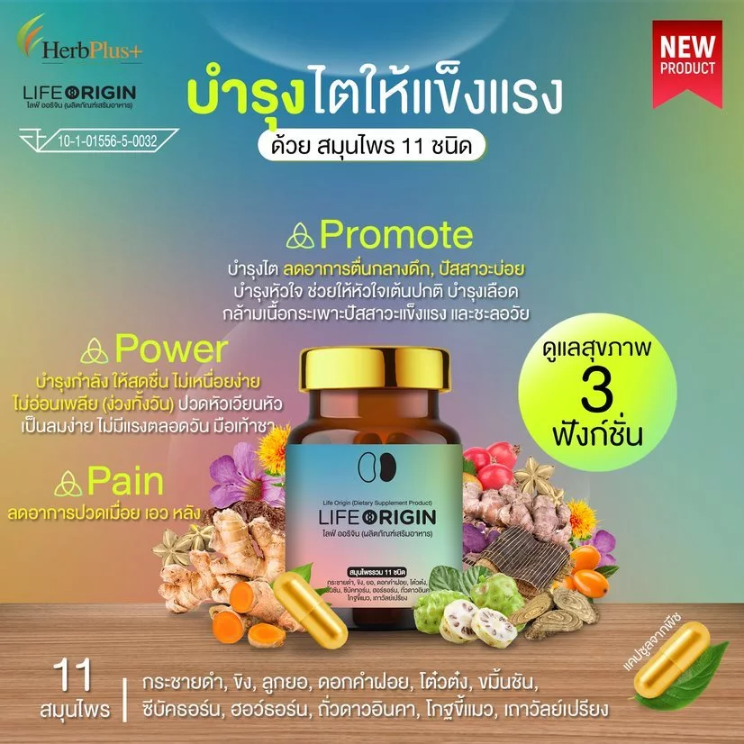 Life Origin ดูแลไตเพิ่มหลังไต บำรุงแหล่งพลังงานของร่างกาย