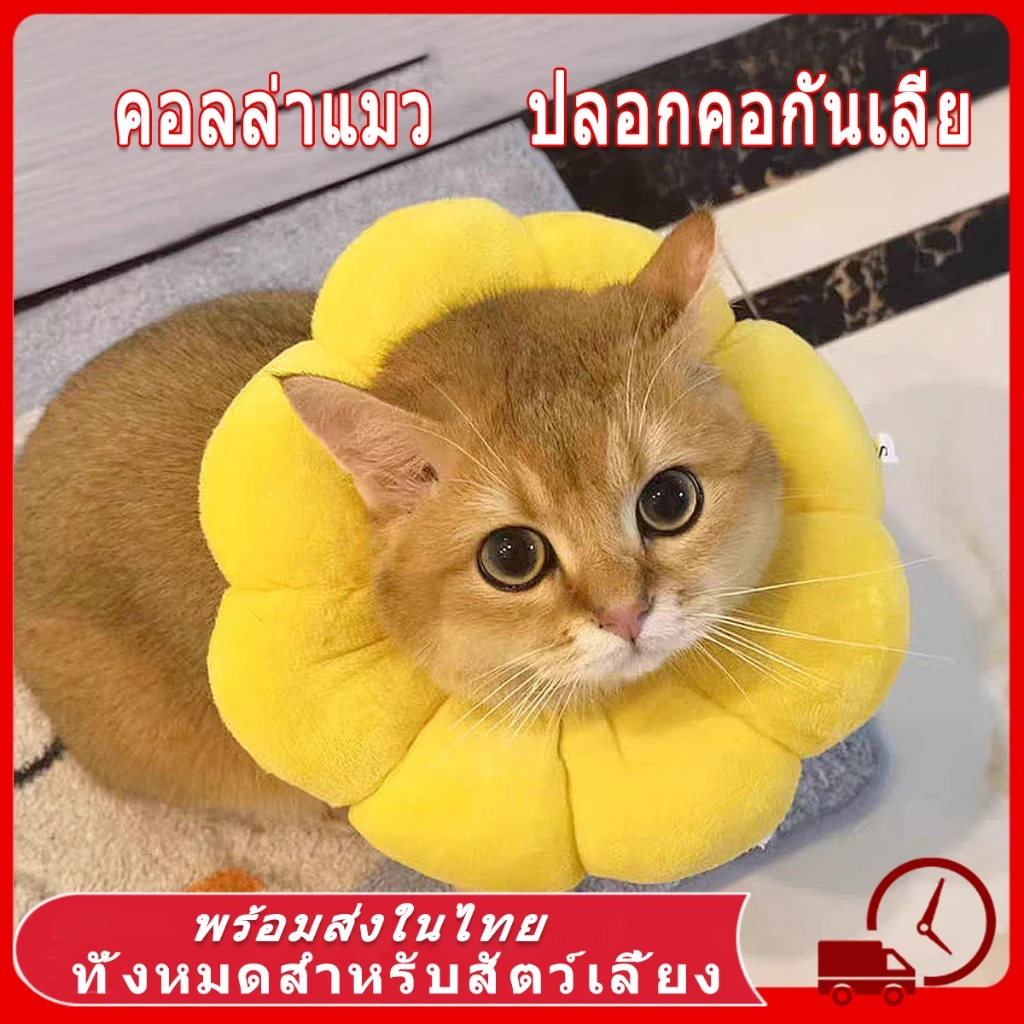 ปลอกคอแมวกันเลีย Collar แบบลำโพง นุ่มสบาย ปรับขนาดได้