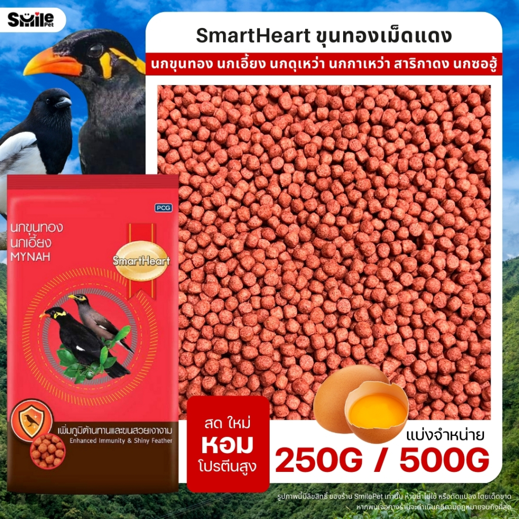 SmartHeart อาหารนกขุนทองเม็ดแดง นกขุนทอง นกเอี้ยง นกกาเหวา นกกวัก (แบ่งขาย 250G / 500G / 1KG)
