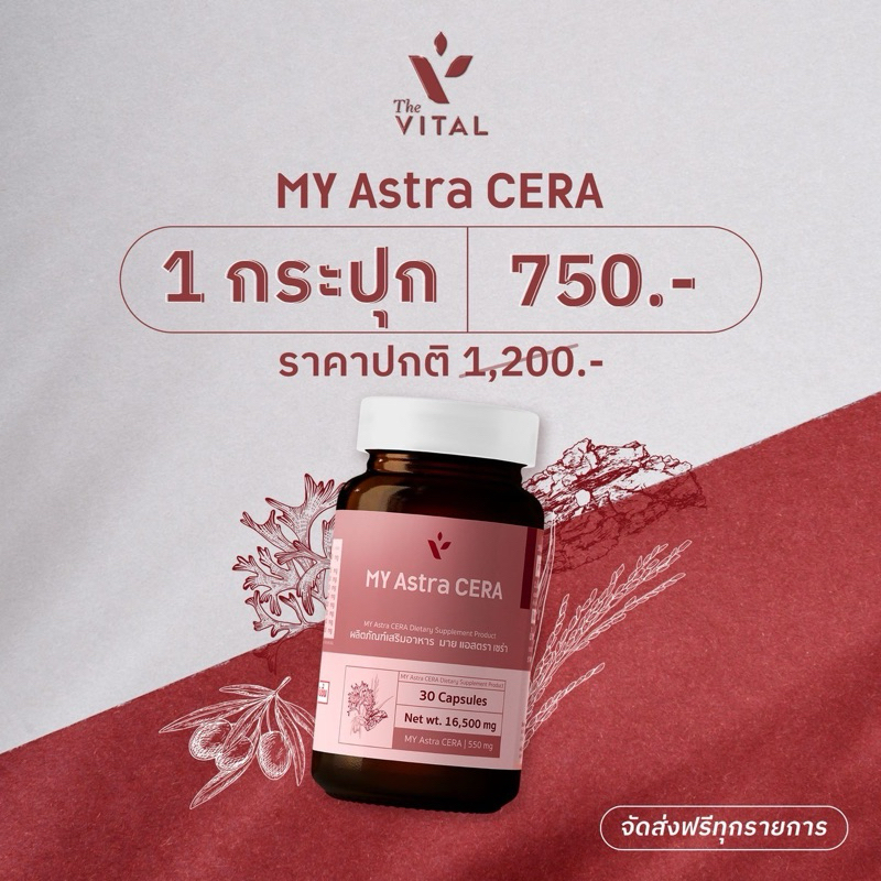My Astra CERA จากThe Vital ช่วยดูแลผิวคุณ - รูปที่ 5