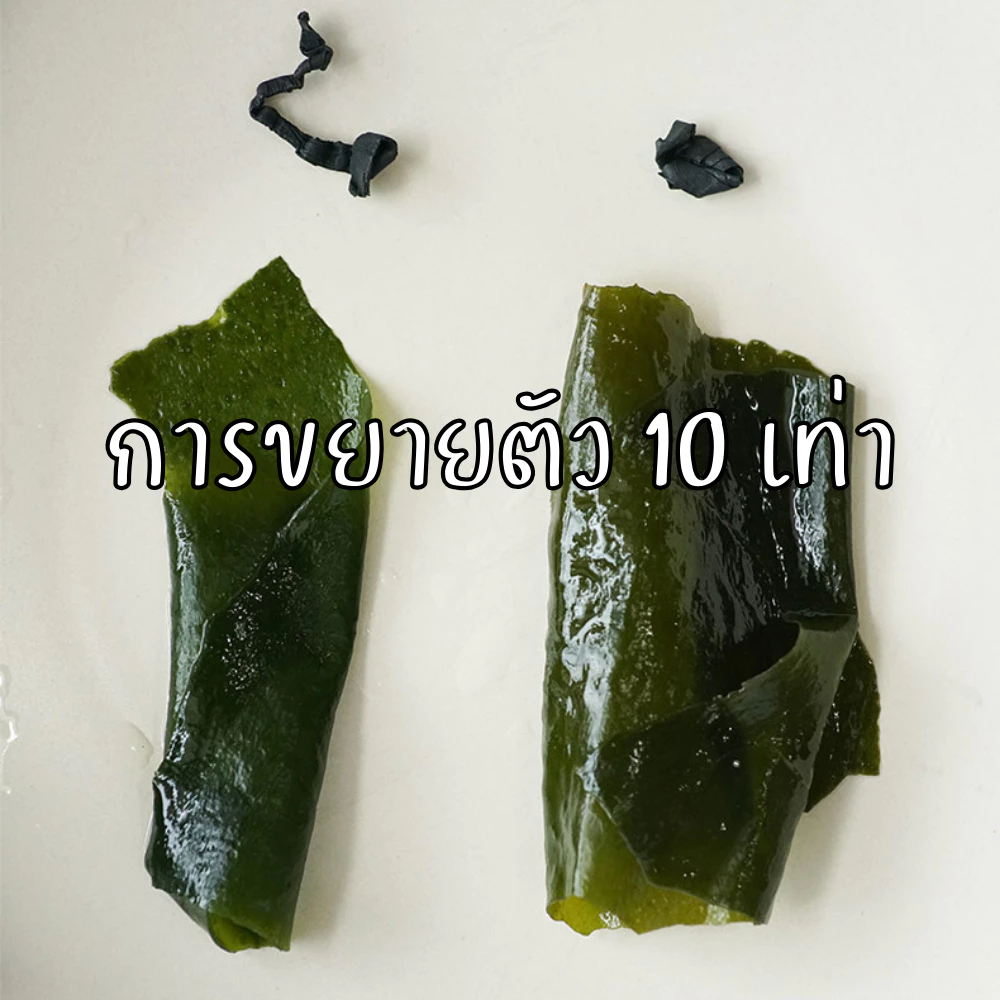 สาหร่ายวากาเมะแห้ง 200 กรัม thumbnail 9