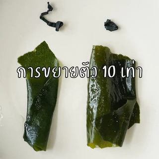 สาหร่ายทะเล สาหร่าย คอมบุ สาหร่าย วากาเมะ เกรดA+ วากาเมะ สาหร่ายทะเล สาหร่ายแห้ง สาหร่ายทะเล สาหร่ายวากาเมะ 200 กรัม