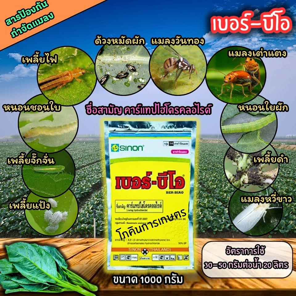 คาร์แทปไฮโดรคลอไรด์ เบอร์บีโอ ขนาด 1000 กรัม
