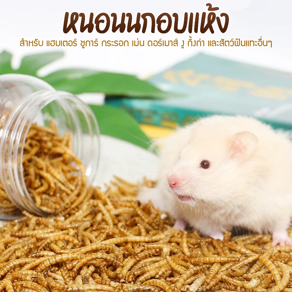 หนอนนกอบแห้ง (บรรจุซอง 15 g) หนอนอบแห้ง อาหารหนูแฮมสเตอร์ ชูการ์ กระรอก เม่นแคระ  แพรี่ด็อก ไก่ ปลา  กิ้งก่า นก อื่นๆ