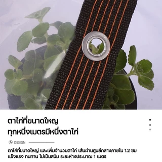 อายุการใช้งาน 20 ปี ผ้าใบใส ผ้าใบกันฝน สำหรับ ทำกันสาด หลังคา กันลม ส่งผ่านแสง 100% ผ้าเต้นกันฝน ผ้าใบอเนกประสงค์