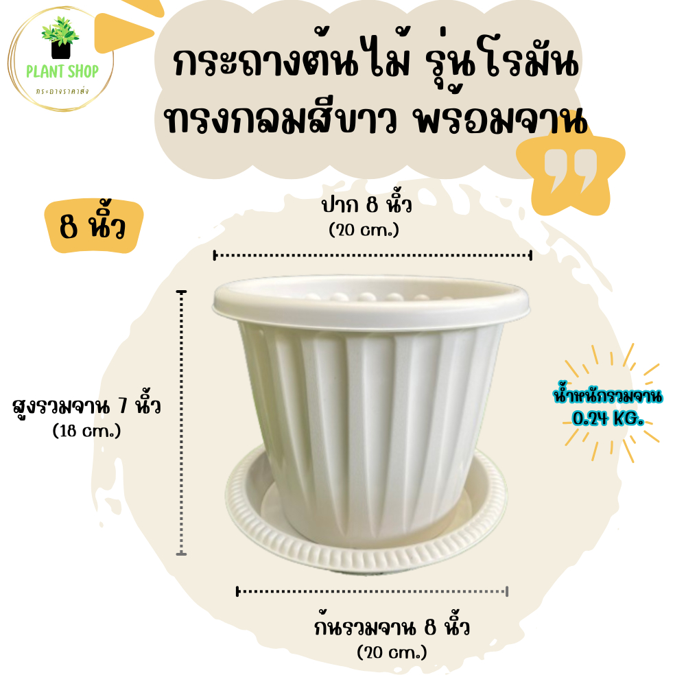 กระถางต้นไม้ รุ่นโรมัน ทรงกลมสีขาว พร้อมจาน ขนาด 8 นิ้ว