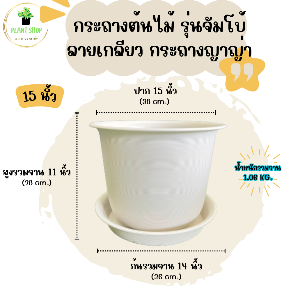 กระถางต้นไม้ รุ่นจัมโบ้ ลายเกลียว กระถางญาญ่า กระถางมินิมอล พร้อมจาน ขนาด 15 นิ้ว