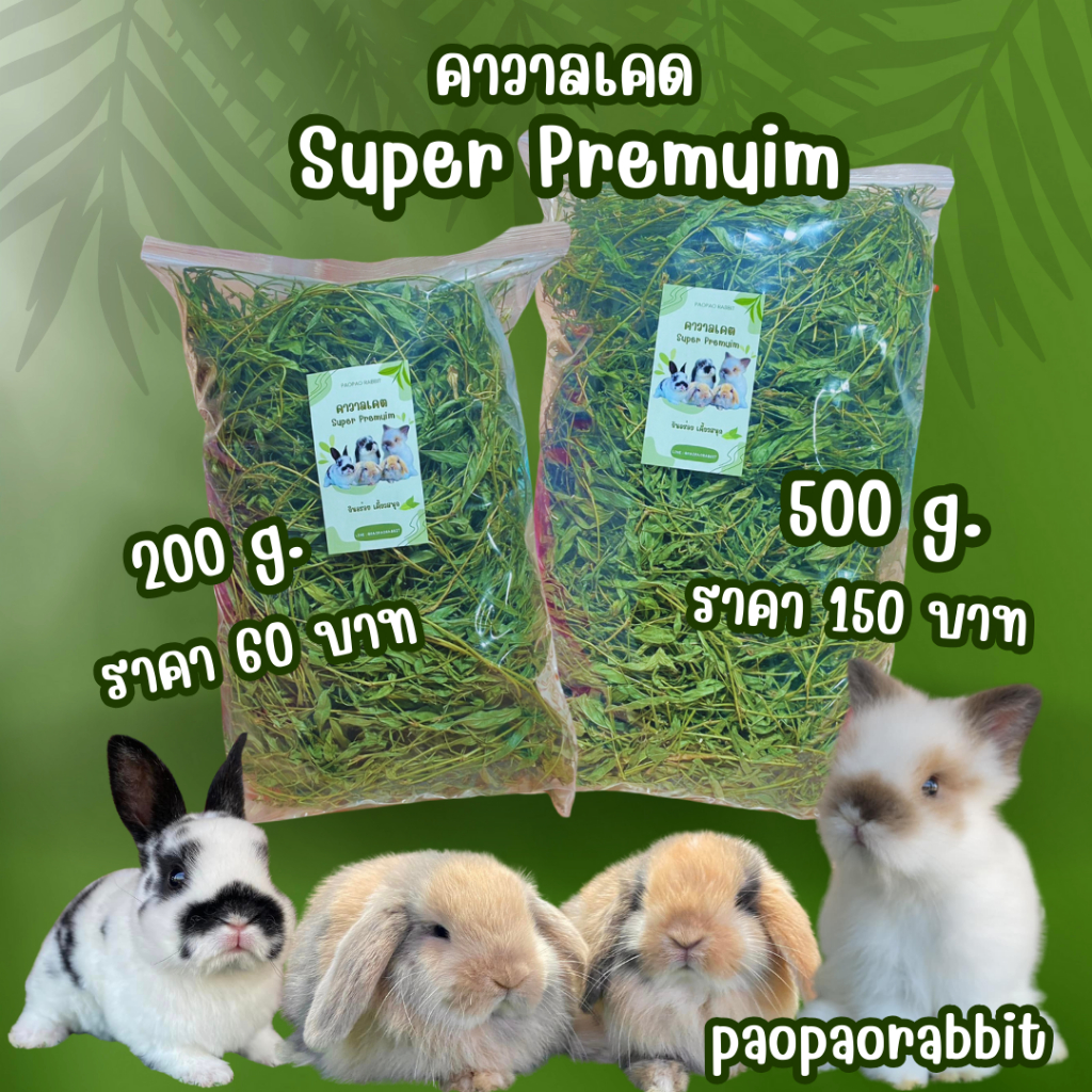 ถั่วคาวาลเคด  อาหารกระต่าย 200กรัมและ500กรัม