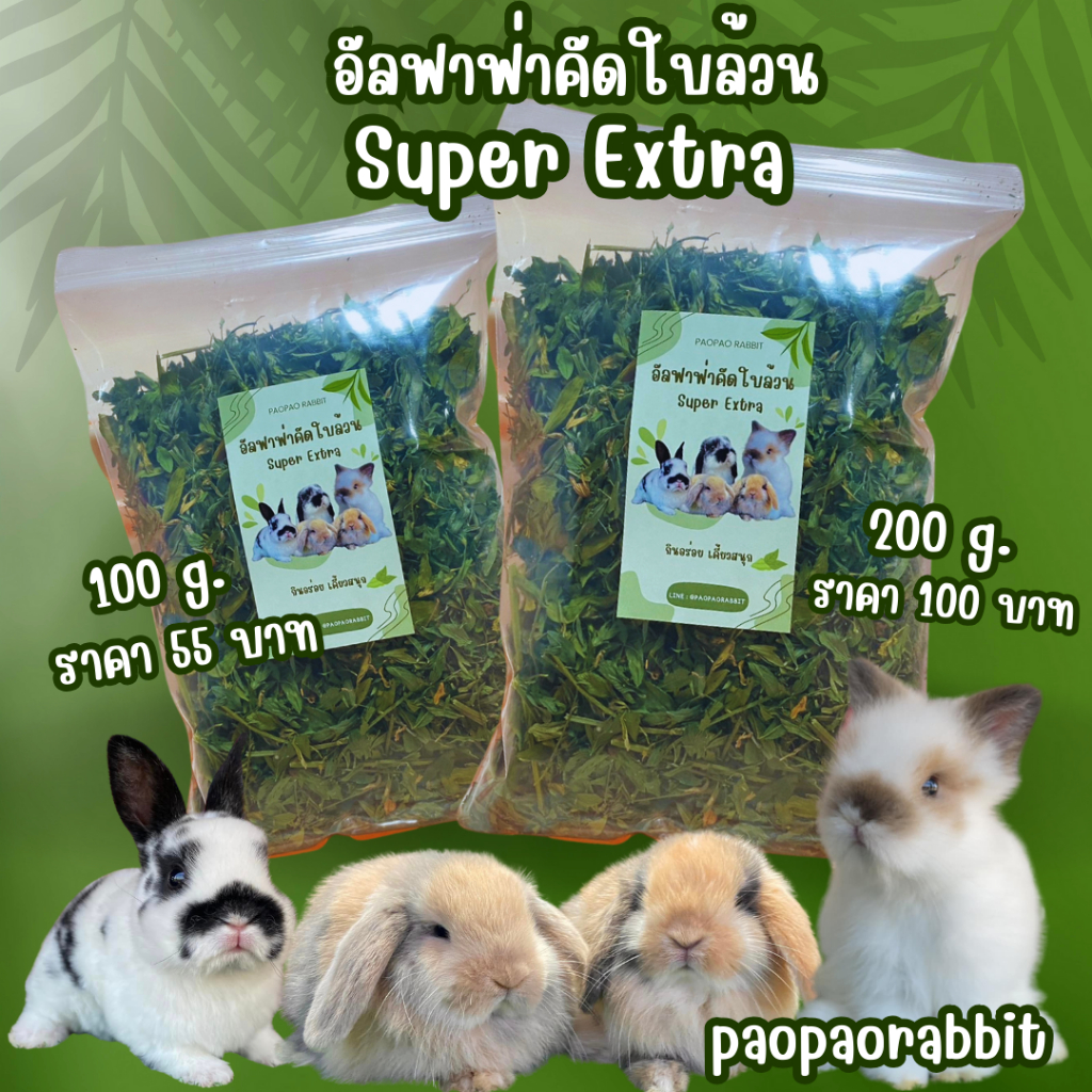 อัลฟาฟ่าคัดใบล้วน เกรดที่ดีที่สุด ไม่มีฝุ่น ใบเขียวสวย