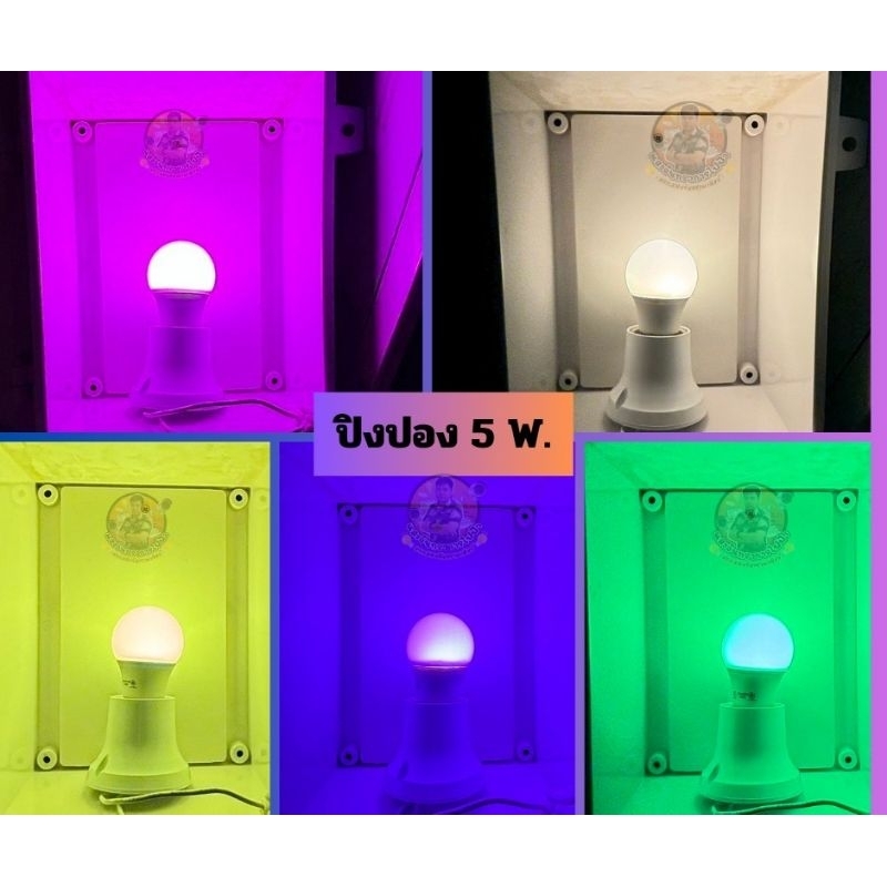 หลอดไฟสี LED แบบสี 5W. หลอดปิงปอง ขั้วเกลียว E27 มี 8 สีให้เลือก แพ็คกล่อง - รูปที่ 6