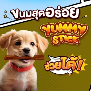 Bingo Star Yummy Stick บิงโกสตาร์ยัมมี่สติ๊ก ขนมสุนัข ขนาด 500 กรัม