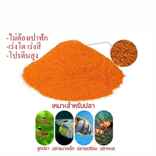 อาร์ทีเมีย อาหารปลากัด ไข่อาร์ทีเมีย อาหารลูกปลากัด ปลาหางนกยูง อาหารลูกปลาทอง ป้อนโดยตรง
