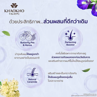 Khaokho Talaypu เขาค้อทะเลภู แชมพู สูตรอัญชันและเฮนน่า ช่วยลดผมหงอก (320 มล.)