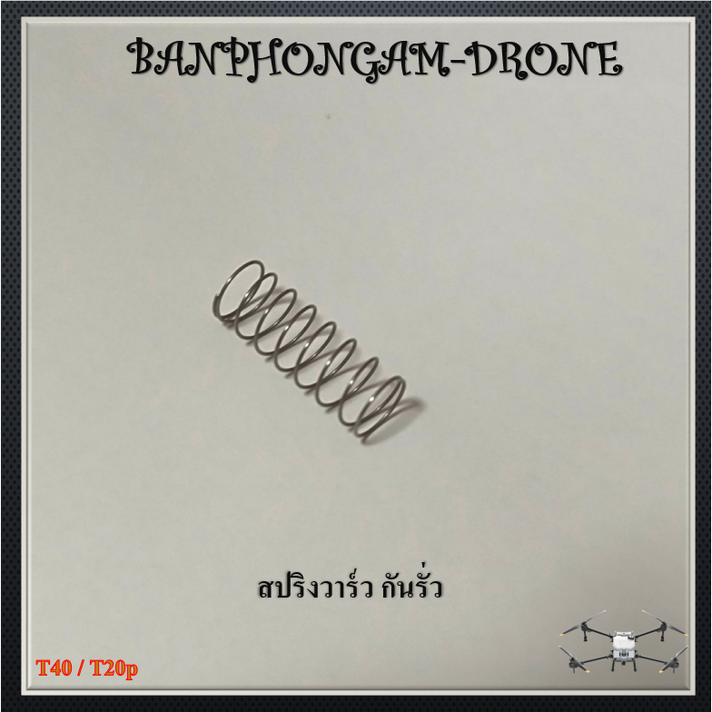 T40 / T20p สปริงวาร์วกันรั่ว - P005
