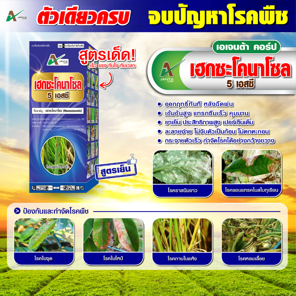 เฮกซะโคนาโซล 5 % สารป้องกันกำจัดเชื้อรา โรคพืช ใบไหม้ในข้าว ใบจุด ทุเรียน โรคในทุเรียน เชื้อรา (ขนาด 1 ลิตร)