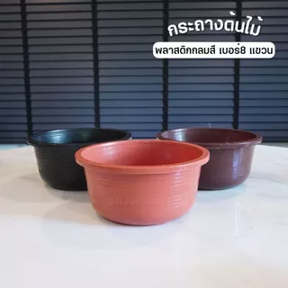 กระถางต้นไม้ กลมสี เบอร์8 แบบแขวน กระถางคุณนายตื่นสาย ขายปลีก
