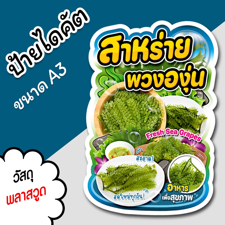 ป้ายร้าน สาหร่าย พวงองุ่น ขนาด A3 A4 สวยๆ สำหรับตกแต่งหน้าร้าน  ไดคัตตามรูปทรง สาหร่ายพวงองุ่น