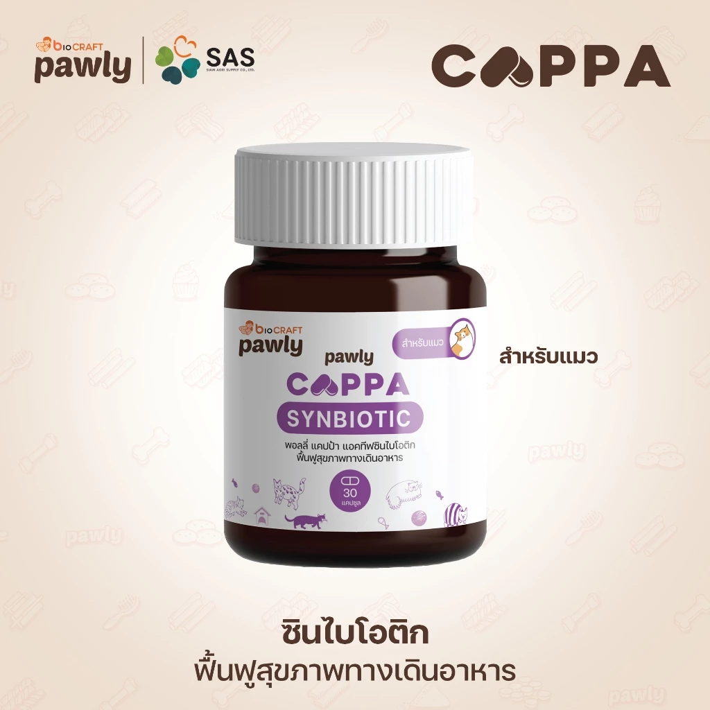Pawly Cappa (สำหรับแมว) ดูแลลำไส้ เสริมภูมิ ขับถ่ายดี ลดกลิ่นมูล - [1กระปุก - 30แคปซูล]