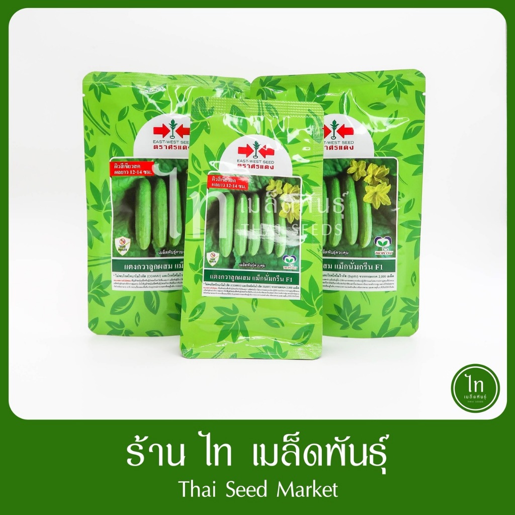 แตงกวา แม็กนั่มกรีน แม็คนั่มกรีน F1 ความยาว 12-14 ซม ใหม่ เมล็ดพันธุ์ ลูกผสม ศรแดง บรรจุ 100/50 กรัม