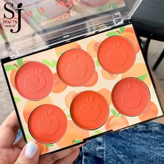Karite 6in1 Peach Matte Color Blusher พาเลทบลัชออน เนื้อแมทต์ เฉดสีพีช เปล่งปลั่งเป็นธรรมชาติ