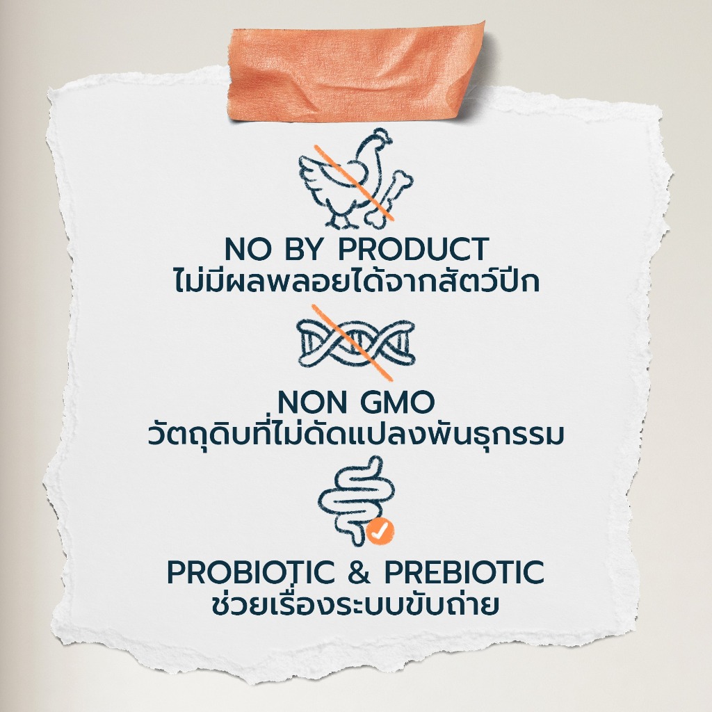 รูปภาพ 5