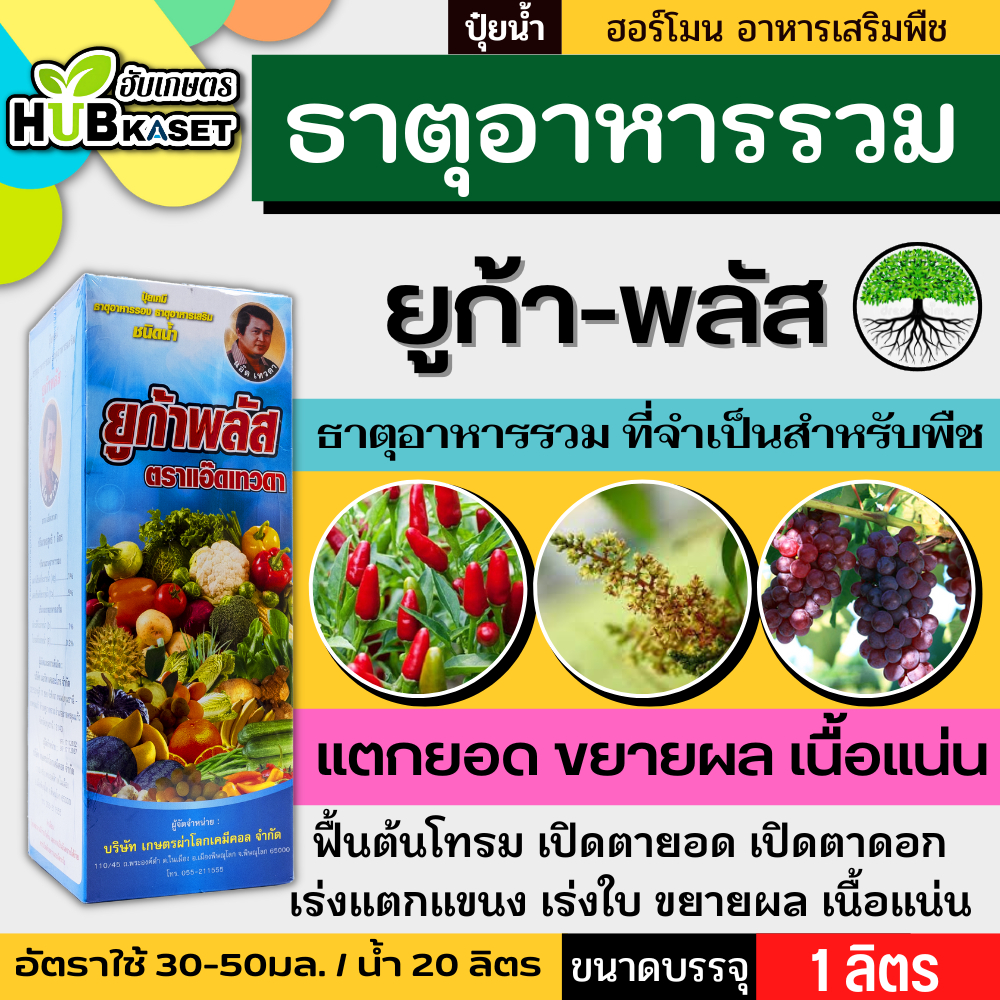 ยูก้า 1ลิตร (ธาตุอาหารรอง) แตกยอดใหม่ ขยายผล ฟื้นต้น
