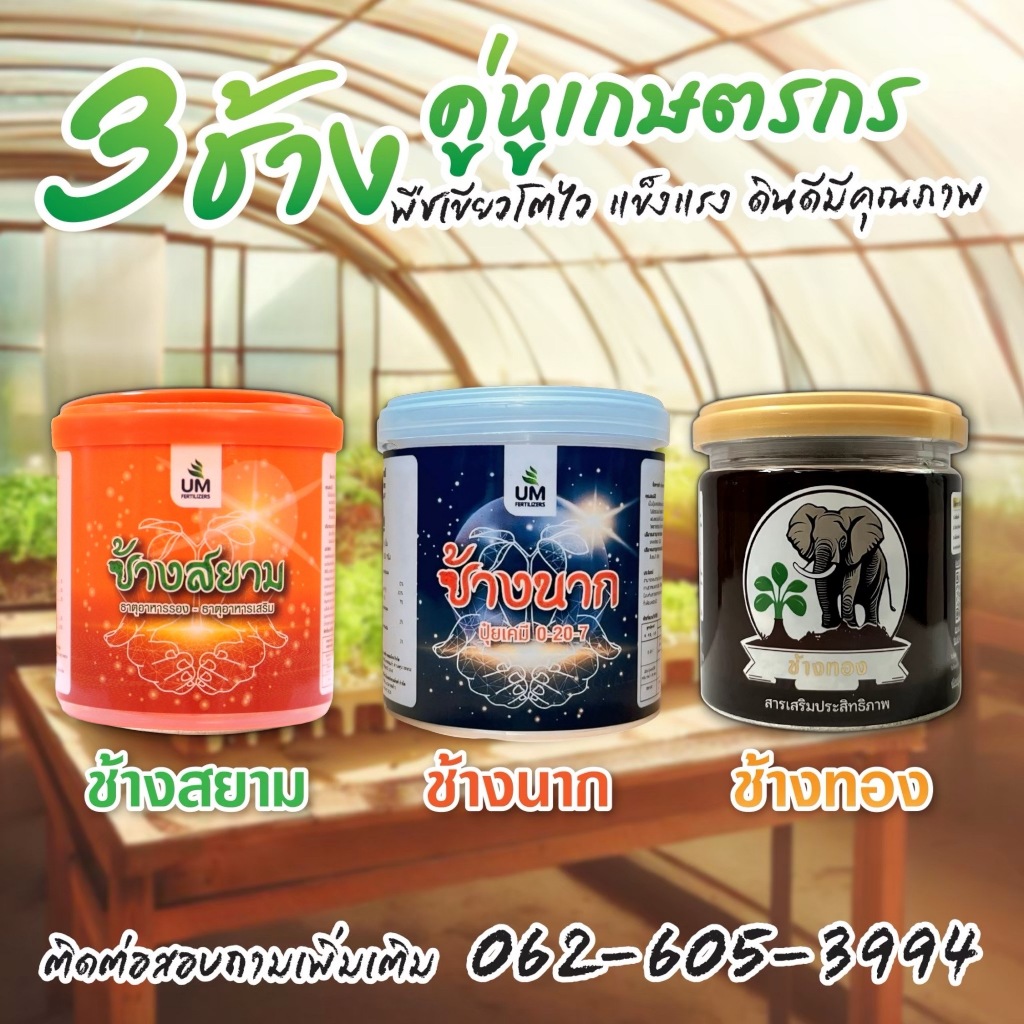 ช้างสยาม ช้างนาก ช้างทอง 3 แถม 2 กระปุก คละกันได้