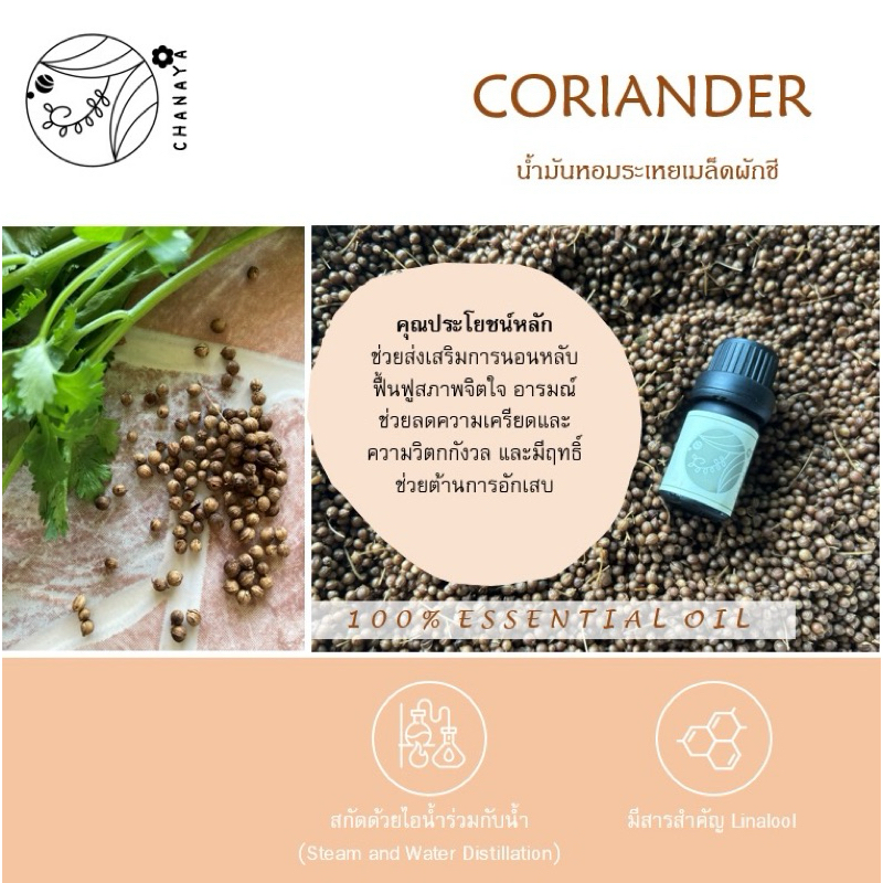 น้ำมันหอมระเหยเมล็ดผักชี ชานาญา CHANAYA Coriander 100% Essential Oil