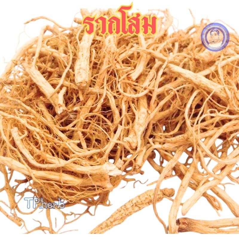 รากโสมเเห้ง,รากโสมภูเขา(แปะเซียมชิว)แพ๊คละ20g/50g/100g