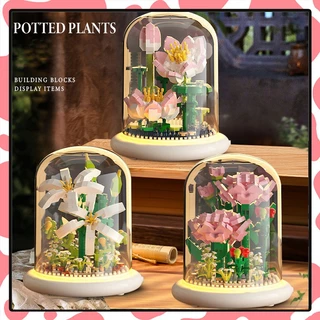 (พร้อมส่ง)ตัวต่อดอกไม้ มีไฟ ดอกไม้ตัวต่อ ตัวต่อ DIY ดอกทานตะวัน เดซี่ คาร์เนชั่น ของขวัญวันเกิด
