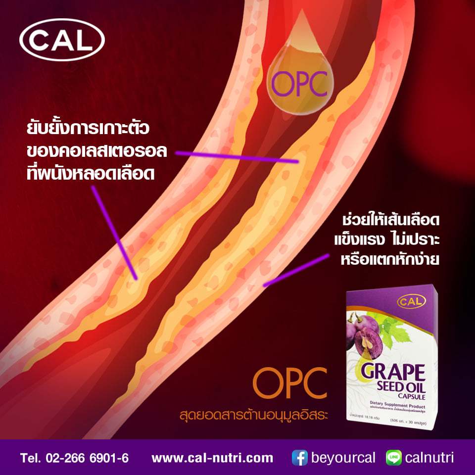 เคล Grape Seed Oil น้ำมันเมล็ดองุ่นสกัดเย็น ผลิตภัณฑ์เสริมอาหาร ชุดสุดคุ้ม - รูปที่ 5