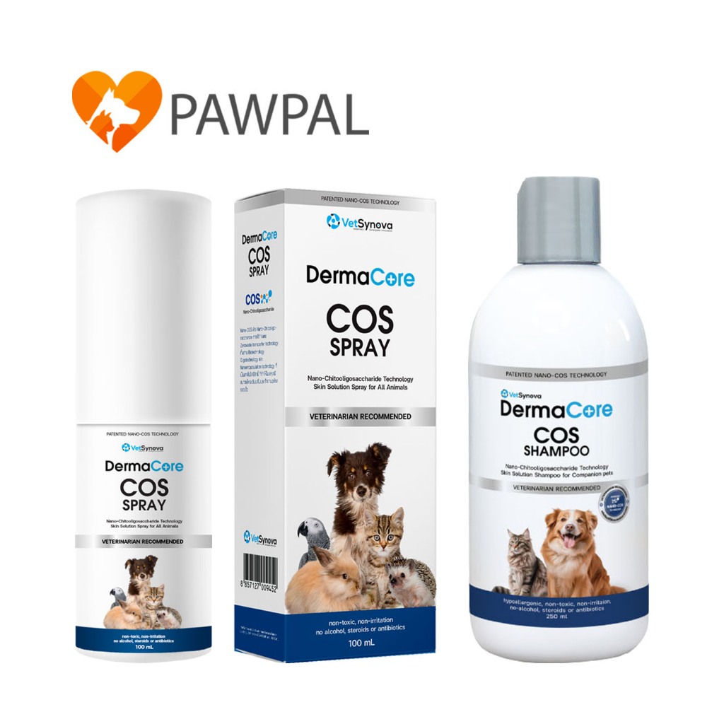 DermaCore COS Spray 20 ml 100 ml Shampoo 250 ml สเปรย์พ่นเชื้อรายีสต์ แชมพู แมว สุนัข โรคผิวหนัง ฆ่าเชื้อโรค แผล