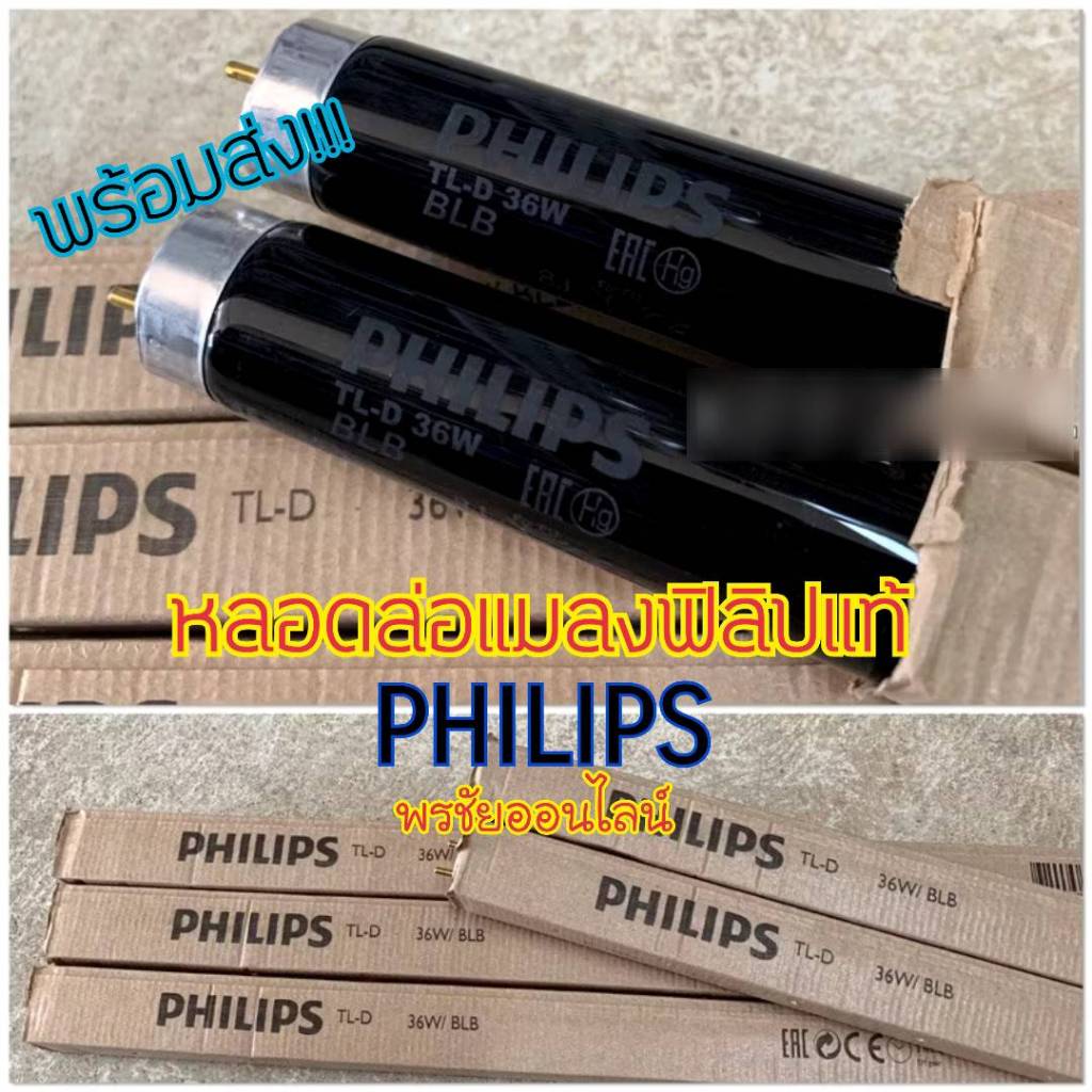 หลอดไฟล่อแมลง PHILIPS ของแท้ หลอดไฟดักแมลง หลอดแบล็คไลท์บลู (Black Light Blue) 36W หลอดสีม่วง เปล่งแ