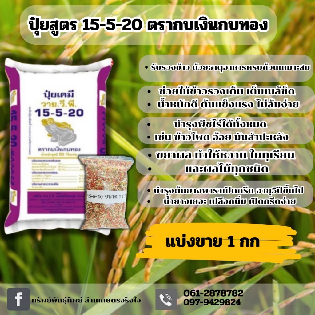 ปุ๋ยสูตร 15-5-20 ตรากบเงินกบทอง แบ่งขาย 1 กก