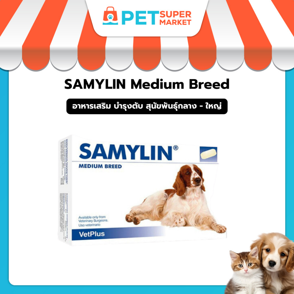 ขายดี Samylin Medium breed อาหารเสริม บำรุงตับ สุนัขพันธุ์กลาง-ใหญ่ ของแท้ฉลากไทย